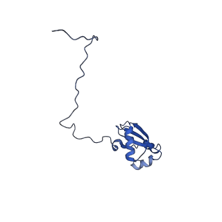 0373_6n8n_k_v1-1
Cryo-EM structure of Lsg1-engaged (LE) pre-60S ribosomal subunit