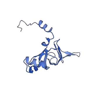0373_6n8n_l_v1-1
Cryo-EM structure of Lsg1-engaged (LE) pre-60S ribosomal subunit