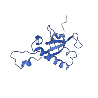 0373_6n8n_m_v1-1
Cryo-EM structure of Lsg1-engaged (LE) pre-60S ribosomal subunit