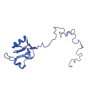 0373_6n8n_n_v1-1
Cryo-EM structure of Lsg1-engaged (LE) pre-60S ribosomal subunit