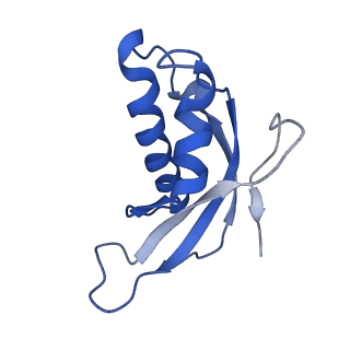 0373_6n8n_q_v1-1
Cryo-EM structure of Lsg1-engaged (LE) pre-60S ribosomal subunit