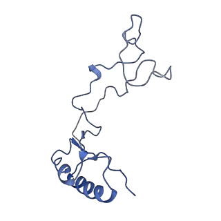 0373_6n8n_r_v1-1
Cryo-EM structure of Lsg1-engaged (LE) pre-60S ribosomal subunit