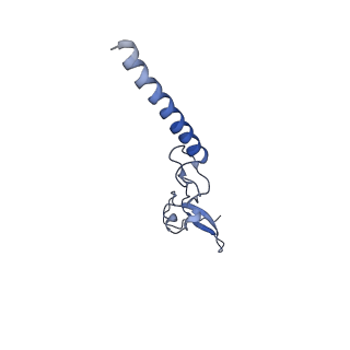 0373_6n8n_t_v1-1
Cryo-EM structure of Lsg1-engaged (LE) pre-60S ribosomal subunit