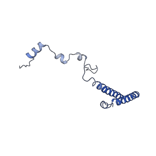 0373_6n8n_u_v1-1
Cryo-EM structure of Lsg1-engaged (LE) pre-60S ribosomal subunit