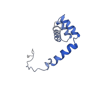 0373_6n8n_v_v1-1
Cryo-EM structure of Lsg1-engaged (LE) pre-60S ribosomal subunit
