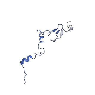 0373_6n8n_w_v1-1
Cryo-EM structure of Lsg1-engaged (LE) pre-60S ribosomal subunit