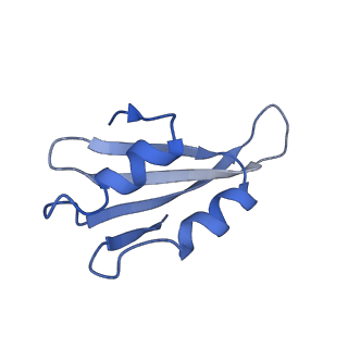 0373_6n8n_x_v1-1
Cryo-EM structure of Lsg1-engaged (LE) pre-60S ribosomal subunit