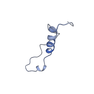 0373_6n8n_y_v1-1
Cryo-EM structure of Lsg1-engaged (LE) pre-60S ribosomal subunit
