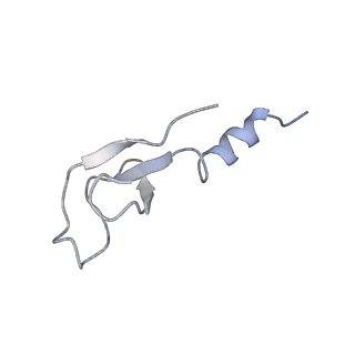 0373_6n8n_z_v1-1
Cryo-EM structure of Lsg1-engaged (LE) pre-60S ribosomal subunit