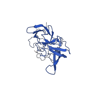 0374_6n8o_D_v1-1
Cryo-EM structure of Rpl10-inserted (RI) pre-60S ribosomal subunit