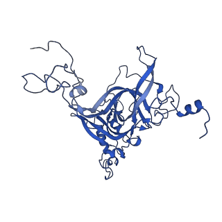 0374_6n8o_E_v1-1
Cryo-EM structure of Rpl10-inserted (RI) pre-60S ribosomal subunit