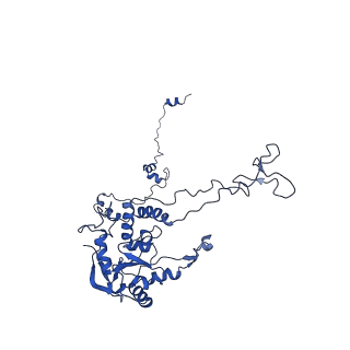 0374_6n8o_F_v1-1
Cryo-EM structure of Rpl10-inserted (RI) pre-60S ribosomal subunit