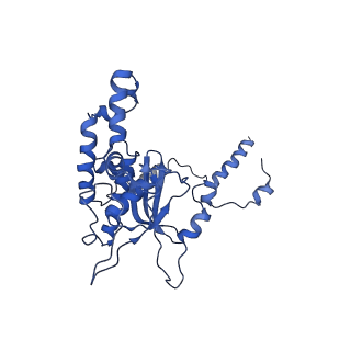 0374_6n8o_G_v1-1
Cryo-EM structure of Rpl10-inserted (RI) pre-60S ribosomal subunit