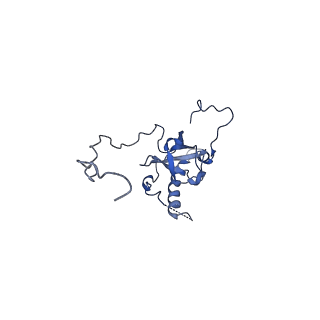 0374_6n8o_H_v1-1
Cryo-EM structure of Rpl10-inserted (RI) pre-60S ribosomal subunit
