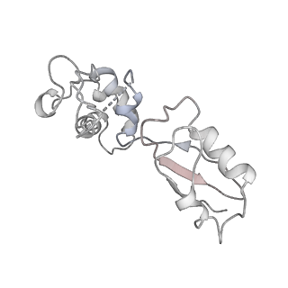 0374_6n8o_L_v1-1
Cryo-EM structure of Rpl10-inserted (RI) pre-60S ribosomal subunit