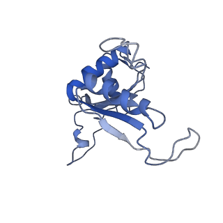 0374_6n8o_M_v1-1
Cryo-EM structure of Rpl10-inserted (RI) pre-60S ribosomal subunit