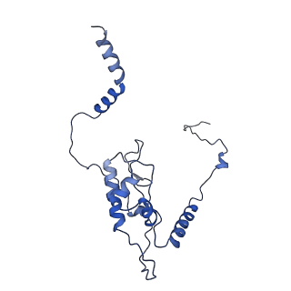 0374_6n8o_N_v1-1
Cryo-EM structure of Rpl10-inserted (RI) pre-60S ribosomal subunit
