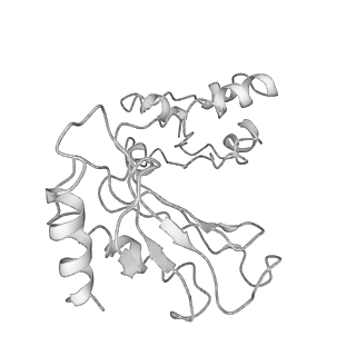 0374_6n8o_S_v1-1
Cryo-EM structure of Rpl10-inserted (RI) pre-60S ribosomal subunit