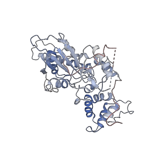 0374_6n8o_W_v1-1
Cryo-EM structure of Rpl10-inserted (RI) pre-60S ribosomal subunit