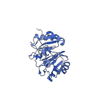 0374_6n8o_X_v1-1
Cryo-EM structure of Rpl10-inserted (RI) pre-60S ribosomal subunit