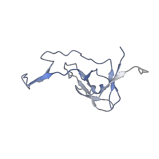 0374_6n8o_Y_v1-1
Cryo-EM structure of Rpl10-inserted (RI) pre-60S ribosomal subunit