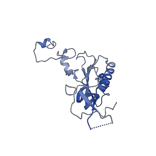 0374_6n8o_Z_v1-1
Cryo-EM structure of Rpl10-inserted (RI) pre-60S ribosomal subunit