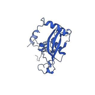 0374_6n8o_a_v1-1
Cryo-EM structure of Rpl10-inserted (RI) pre-60S ribosomal subunit