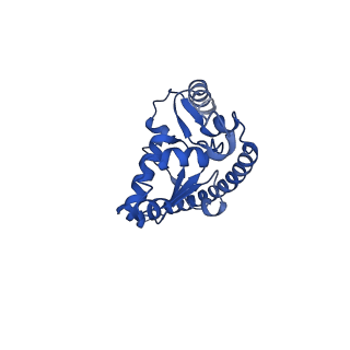0374_6n8o_b_v1-1
Cryo-EM structure of Rpl10-inserted (RI) pre-60S ribosomal subunit