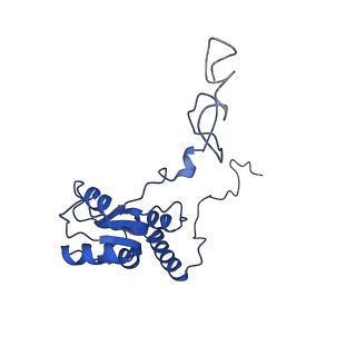 0374_6n8o_d_v1-1
Cryo-EM structure of Rpl10-inserted (RI) pre-60S ribosomal subunit