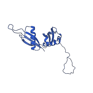 0374_6n8o_f_v1-1
Cryo-EM structure of Rpl10-inserted (RI) pre-60S ribosomal subunit
