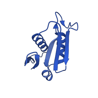 0374_6n8o_h_v1-1
Cryo-EM structure of Rpl10-inserted (RI) pre-60S ribosomal subunit