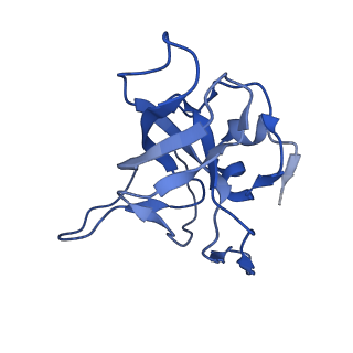 0374_6n8o_i_v1-1
Cryo-EM structure of Rpl10-inserted (RI) pre-60S ribosomal subunit