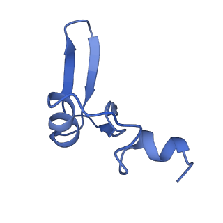 0374_6n8o_j_v1-1
Cryo-EM structure of Rpl10-inserted (RI) pre-60S ribosomal subunit
