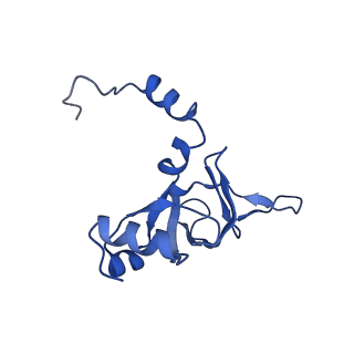 0374_6n8o_l_v1-1
Cryo-EM structure of Rpl10-inserted (RI) pre-60S ribosomal subunit
