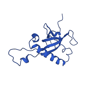 0374_6n8o_m_v1-1
Cryo-EM structure of Rpl10-inserted (RI) pre-60S ribosomal subunit