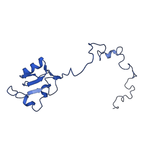 0374_6n8o_n_v1-1
Cryo-EM structure of Rpl10-inserted (RI) pre-60S ribosomal subunit