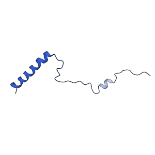 0374_6n8o_o_v1-1
Cryo-EM structure of Rpl10-inserted (RI) pre-60S ribosomal subunit