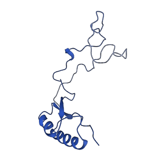 0374_6n8o_r_v1-1
Cryo-EM structure of Rpl10-inserted (RI) pre-60S ribosomal subunit