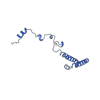 0374_6n8o_u_v1-1
Cryo-EM structure of Rpl10-inserted (RI) pre-60S ribosomal subunit