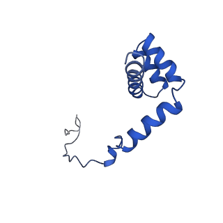 0374_6n8o_v_v1-1
Cryo-EM structure of Rpl10-inserted (RI) pre-60S ribosomal subunit