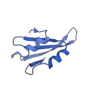 0374_6n8o_x_v1-1
Cryo-EM structure of Rpl10-inserted (RI) pre-60S ribosomal subunit