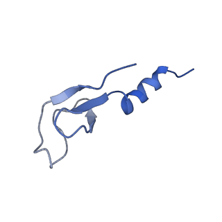 0374_6n8o_z_v1-1
Cryo-EM structure of Rpl10-inserted (RI) pre-60S ribosomal subunit