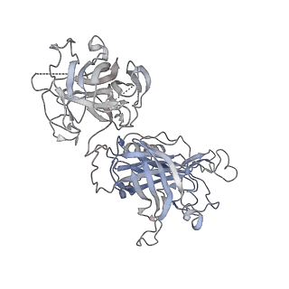 24233_7n88_A_v1-0
The cryoEM structure of LbpB from N. gonorrhoeae in complex with lactoferrin