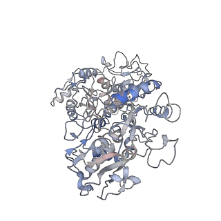 24233_7n88_B_v1-0
The cryoEM structure of LbpB from N. gonorrhoeae in complex with lactoferrin