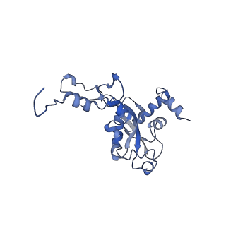 24235_7n8b_AN_v1-1
Cycloheximide bound vacant 80S structure isolated from cbf5-D95A