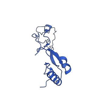 24235_7n8b_Ae_v1-1
Cycloheximide bound vacant 80S structure isolated from cbf5-D95A