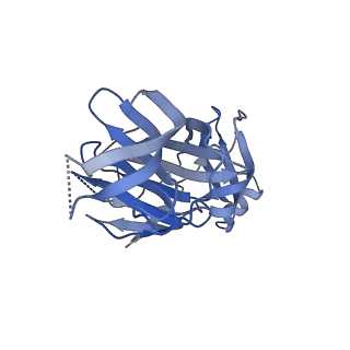 24237_7n8i_A_v1-1
SARS-CoV-2 S (B.1.429 / epsilon variant) + S2M11 + S2L20 (Local Refinement of the NTD/S2L20)