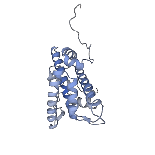 24238_7n8n_B_v1-1
Melbournevirus nucleosome like particle