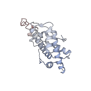 24238_7n8n_C_v1-1
Melbournevirus nucleosome like particle