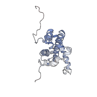 24238_7n8n_D_v1-1
Melbournevirus nucleosome like particle